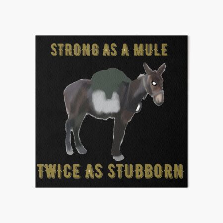 Definition & Meaning of Stubborn as a mule