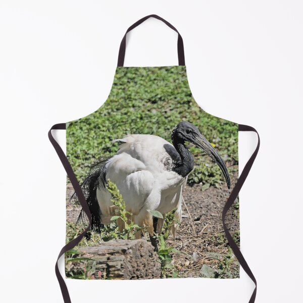 Item preview, r2453/ 7 parc-ornithologique-de-st-hilaire-la-palud - L' Ibis sacré -  2020 par Okaio Créations - Olavia&Olao designed and sold by o.okaïo.