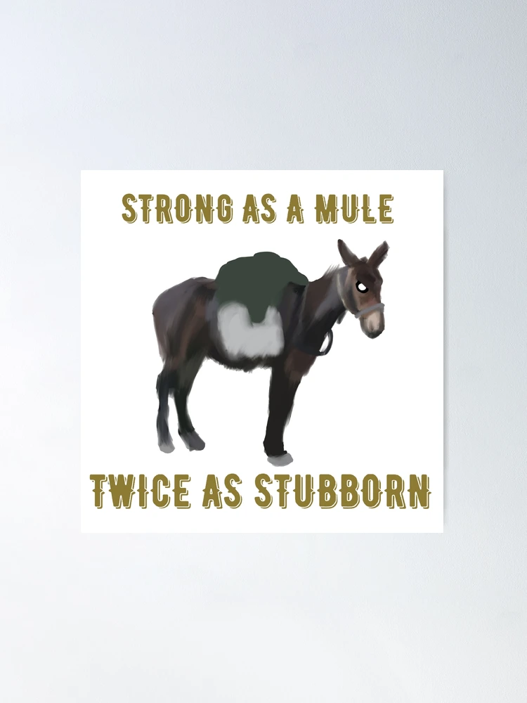 STUBBORN AS A MULE!