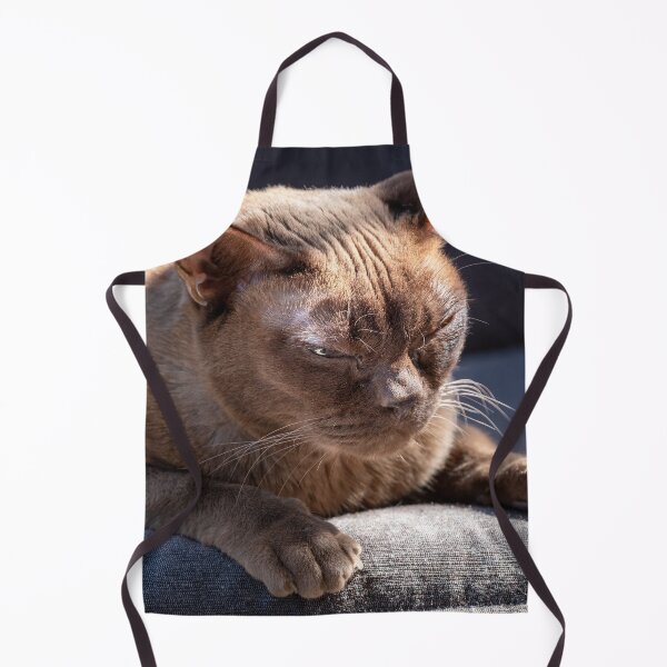 Item preview, Chocolate Burmese Cat designed and sold by EverydayHermit.