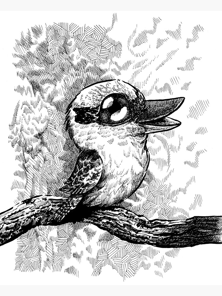 Kookaburra Art Print For Sale By Jrgunillustre Redbubble