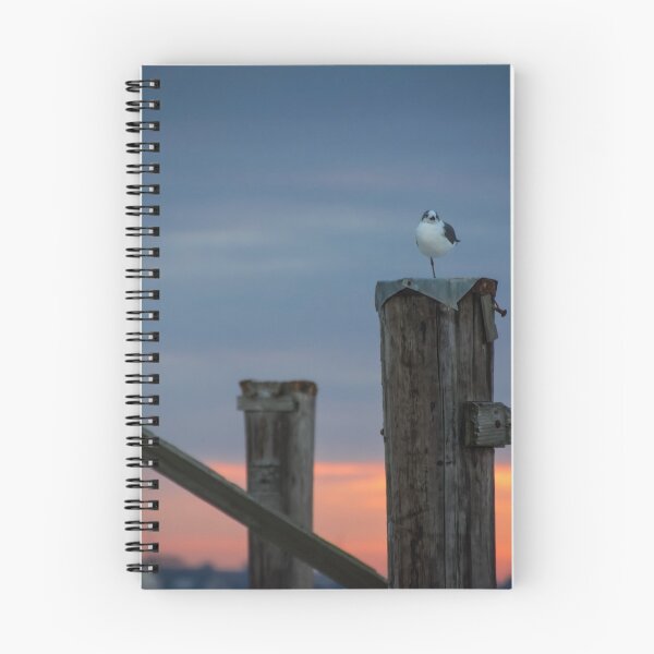 Item preview, Balancing Act designed and sold by AhArtography.