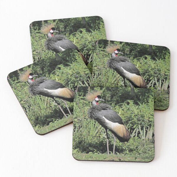 Item preview, r2461/ 15 parc-ornithologique-de-st-hilaire-la-palud - Grues couronnées -  2020 par Okaio Créations - Olavia&Olao designed and sold by o.okaïo.