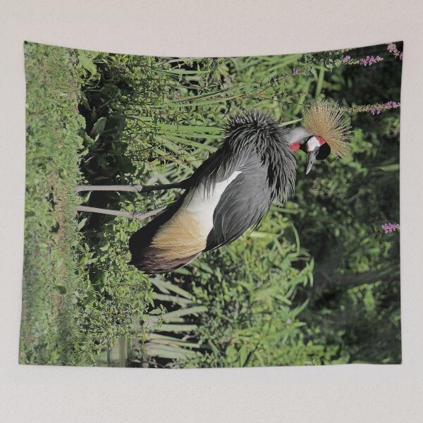 Item preview, r2461/ 15 parc-ornithologique-de-st-hilaire-la-palud - Grues couronnées -  2020 par Okaio Créations - Olavia&Olao designed and sold by o.okaïo.