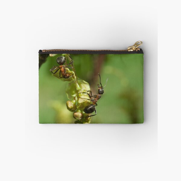 Item preview, Ants  designed and sold by Elfchen.