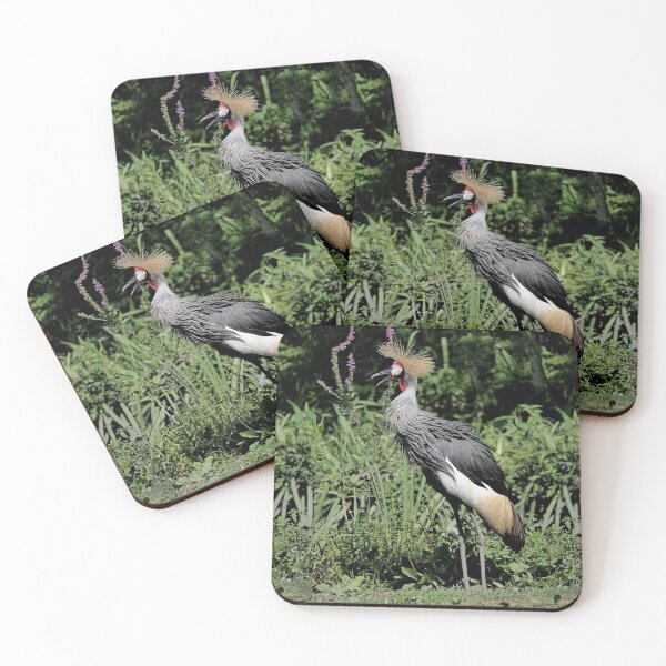 Item preview, r2463/ 17 parc-ornithologique-de-st-hilaire-la-palud - Grues couronnées -  2020 par Okaio Créations - Olavia&Olao designed and sold by o.okaïo.