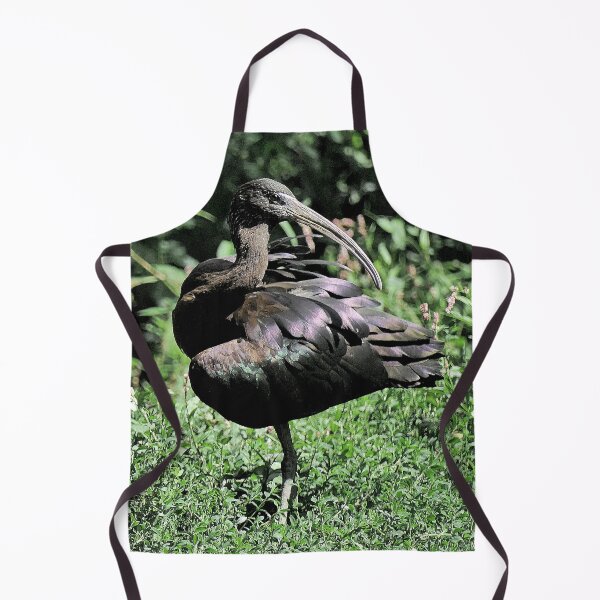 Item preview, r2458/ 12 parc-ornithologique-de-st-hilaire-la-palud - Cigogne noire - 2020 par Okaio Créations - Olavia&Olao designed and sold by o.okaïo.