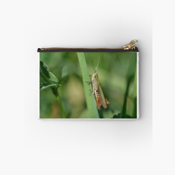 Item preview, grasshopper designed and sold by Elfchen.