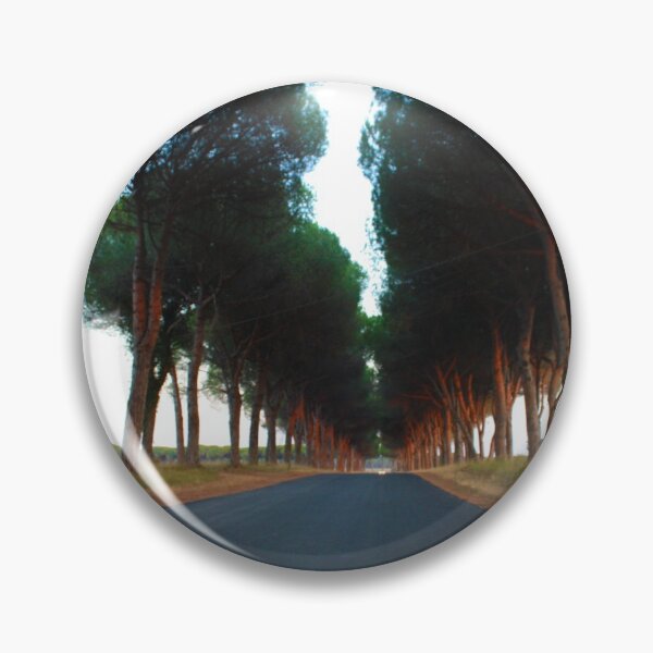 Item preview, avenue with trees at sunset in the rural Tuscan countryside designed and sold by alessiapenny.