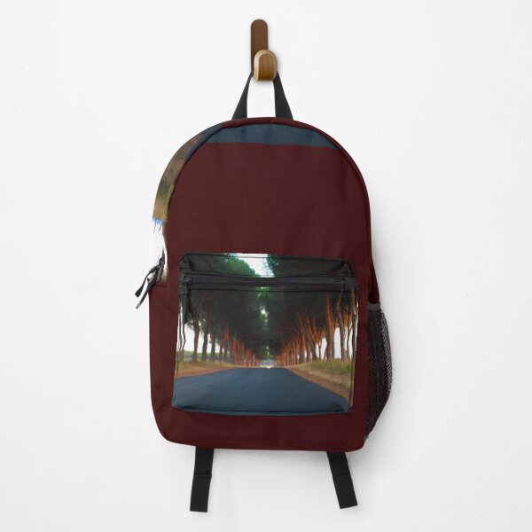 Item preview, avenue with trees at sunset in the rural Tuscan countryside designed and sold by alessiapenny.