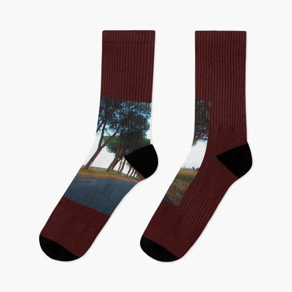 Item preview, avenue with trees at sunset in the rural Tuscan countryside designed and sold by alessiapenny.