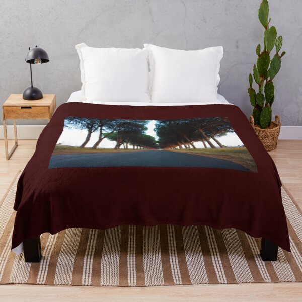 Item preview, avenue with trees at sunset in the rural Tuscan countryside designed and sold by alessiapenny.