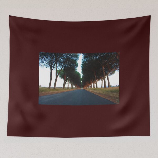 Item preview, avenue with trees at sunset in the rural Tuscan countryside designed and sold by alessiapenny.