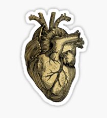Glittering anatomical heart Sticker