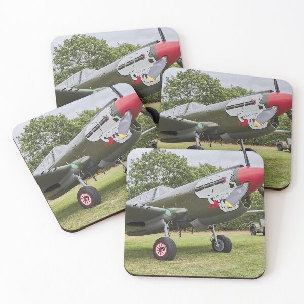 Item preview, Curtis P-40N Kittyhawk designed and sold by Richard Allen.