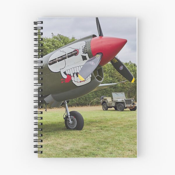 Item preview, Curtis P-40N Kittyhawk designed and sold by Richard Allen.