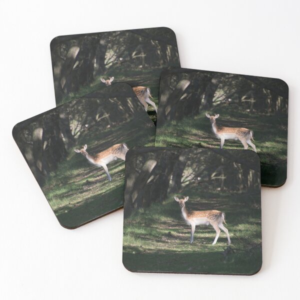 Item preview, Magical encounter designed and sold by vfphoto.