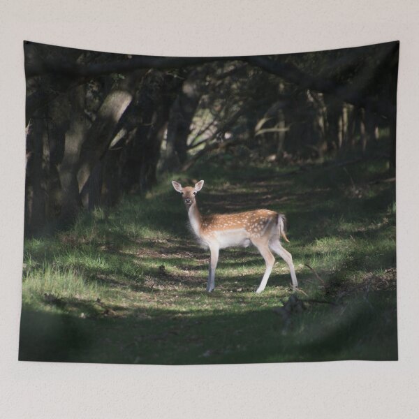 Item preview, Magical encounter designed and sold by vfphoto.