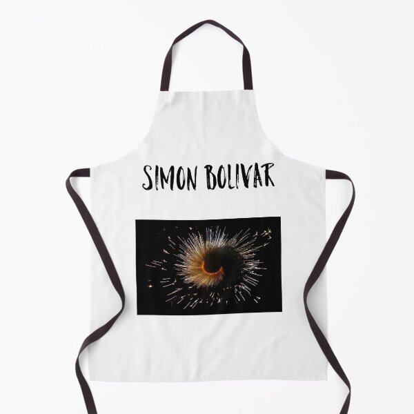 Item preview, Simon Bolivar Celebration designed and sold by MihneaL.
