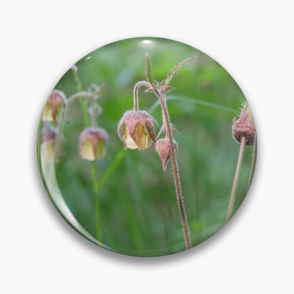 Item preview, wildflower Geum Rivale close to designed and sold by mrivserg.