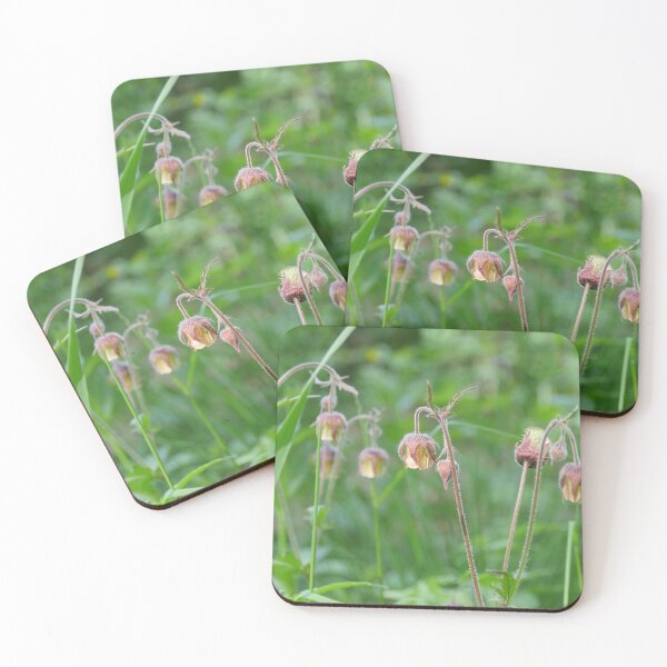 Item preview, wildflower Geum Rivale close to designed and sold by mrivserg.