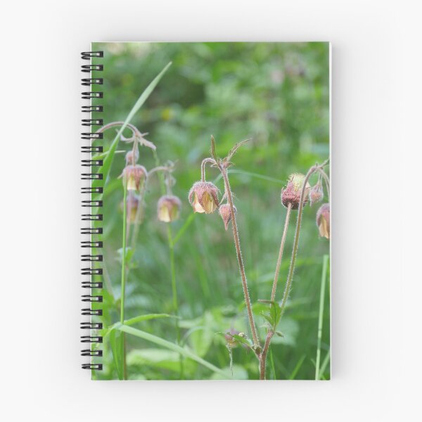 Item preview, wildflower Geum Rivale close to designed and sold by mrivserg.