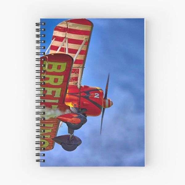 Item preview, Boeing Stearman designed and sold by Richard Allen.