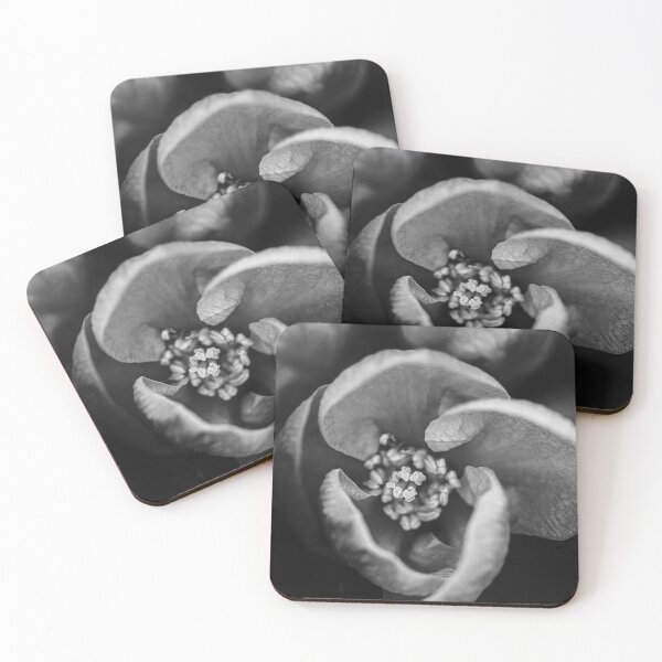 Item preview, Unknown beauty designed and sold by mariannehope.