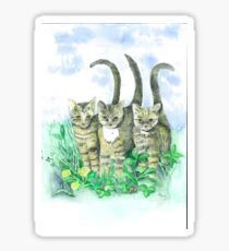 Kittens Sticker