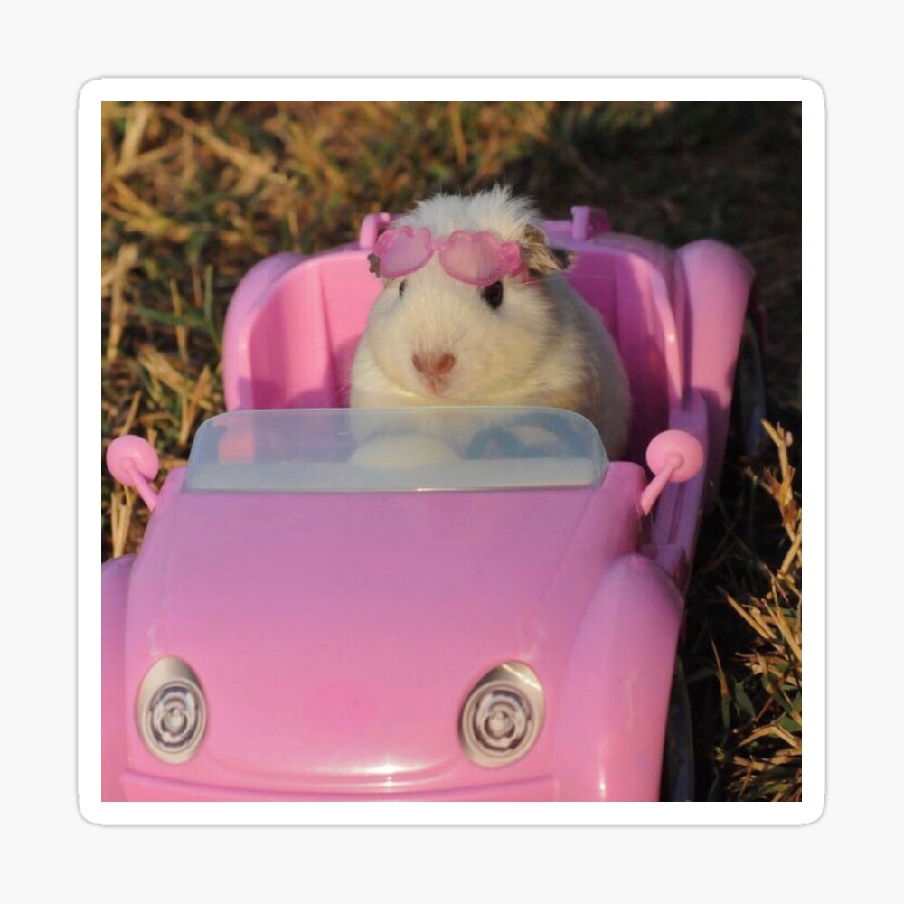 Hamster barbie 2025