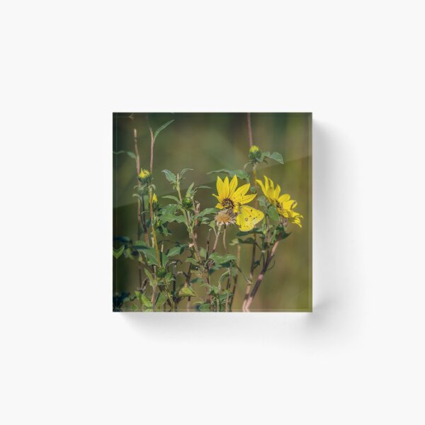 Item preview, Amarillo sobre amarillo de Debra Martz designed and sold by Debra Martz.