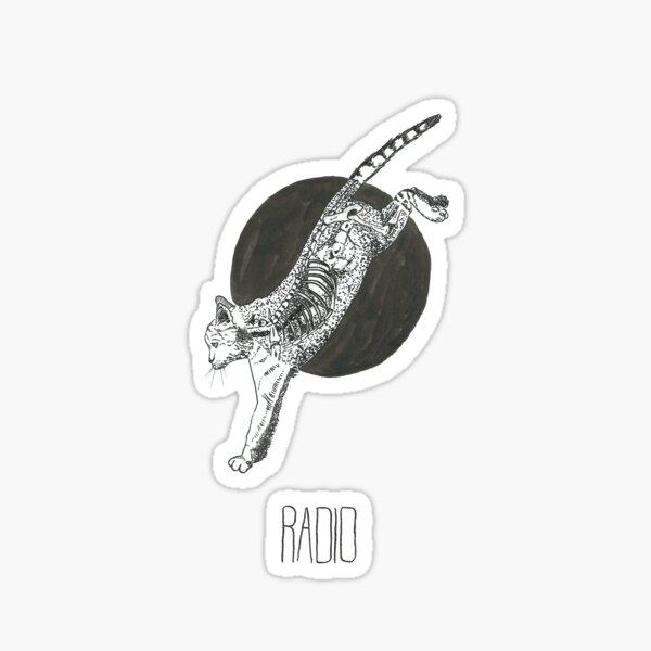 Chat sous rayons X Sticker