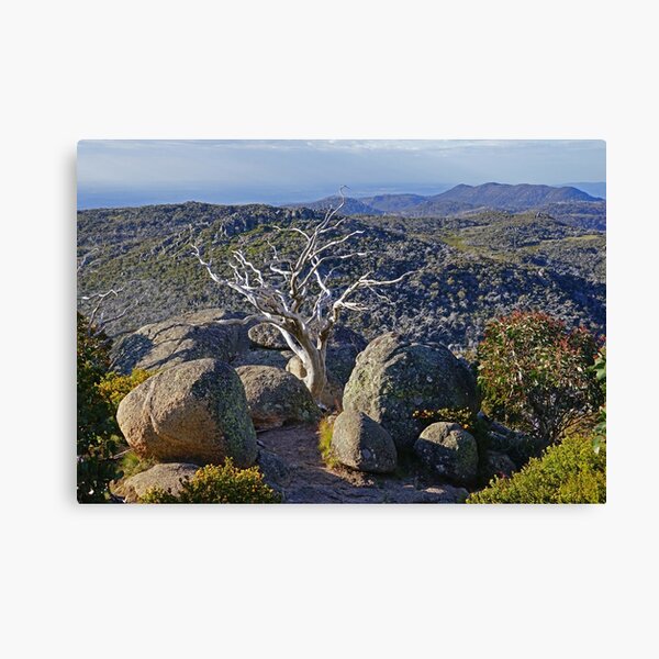 Item preview, Mt Buffalo Plateau designed and sold by Harry Oldmeadow.