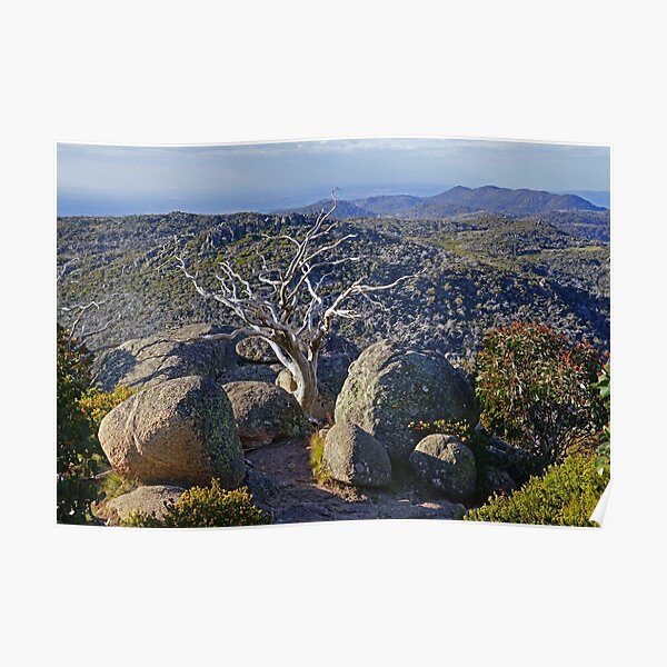 Mt Buffalo Plateau Poster