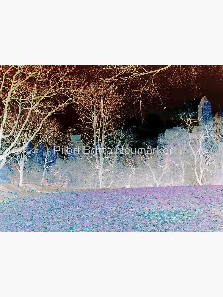 Central Park New York von pilbri2018