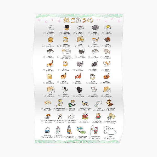 CAT COLLECTER POSTER Poster