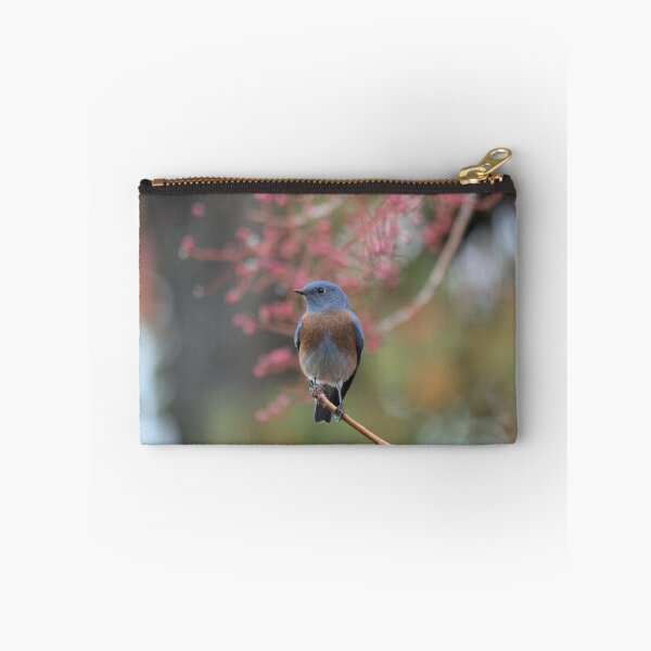 Item preview, Western Bluebird  designed and sold by Denise Okeson-Messner.