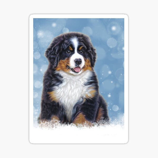 Bernese Mountain Dog Puppy in Snow Sticker