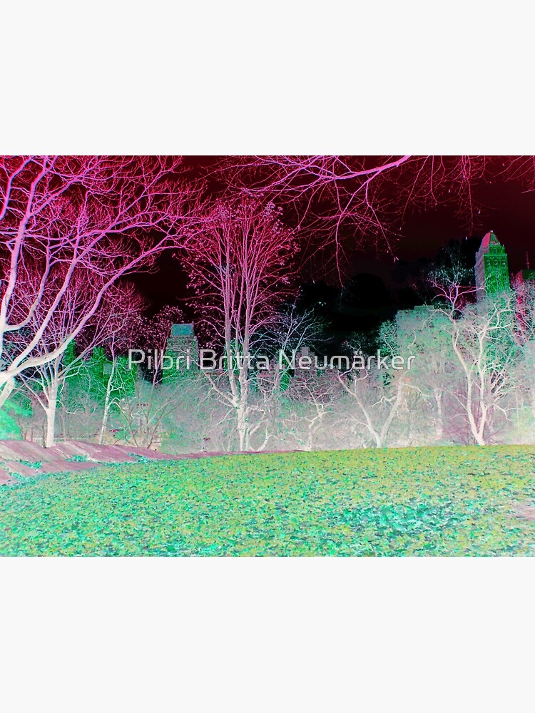 Central Park New York grün von pilbri2018