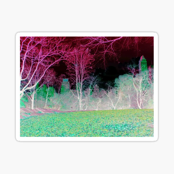 Central Park New York grün Sticker
