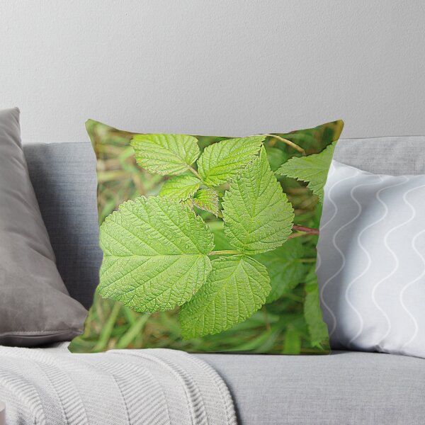Item preview, Green Rose leaf designed and sold by Greatsavings.