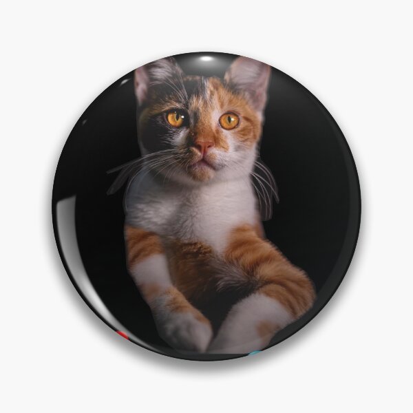 Item preview, Kool Kat designed and sold by CathalDevlin.