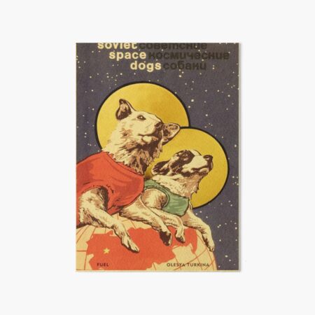 Soviet Space Dogs Art Board Print
