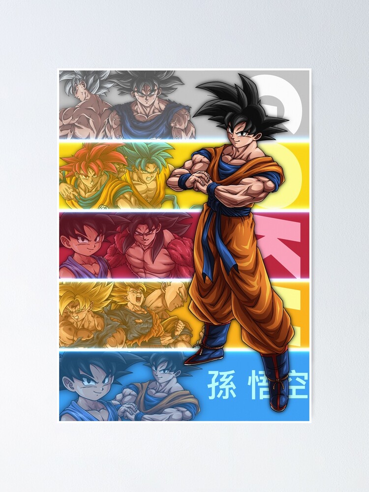 Poster Dragon Ball Son Goku History por sólo 6.99€