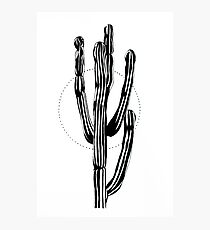 Cactus Photographic Print
