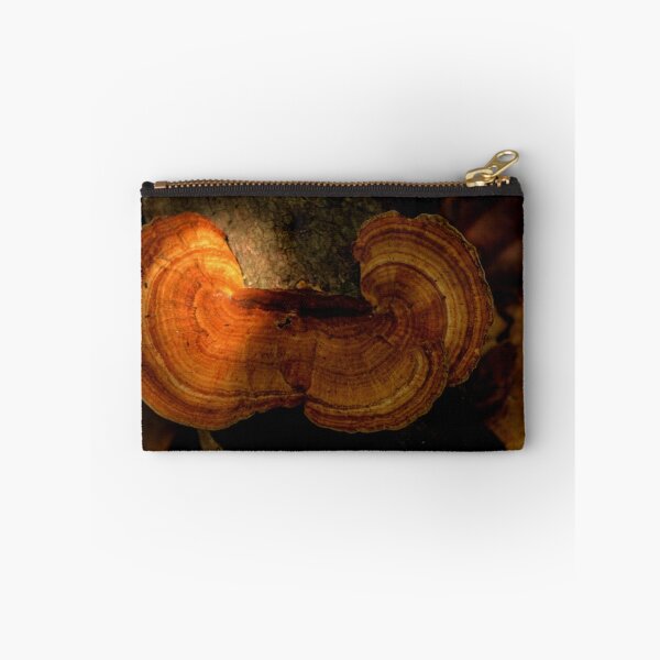Item preview, Fungi along the Gondwana Rainforest walk designed and sold by myraj.