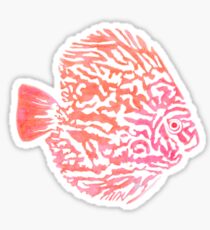 Discus fish Sticker