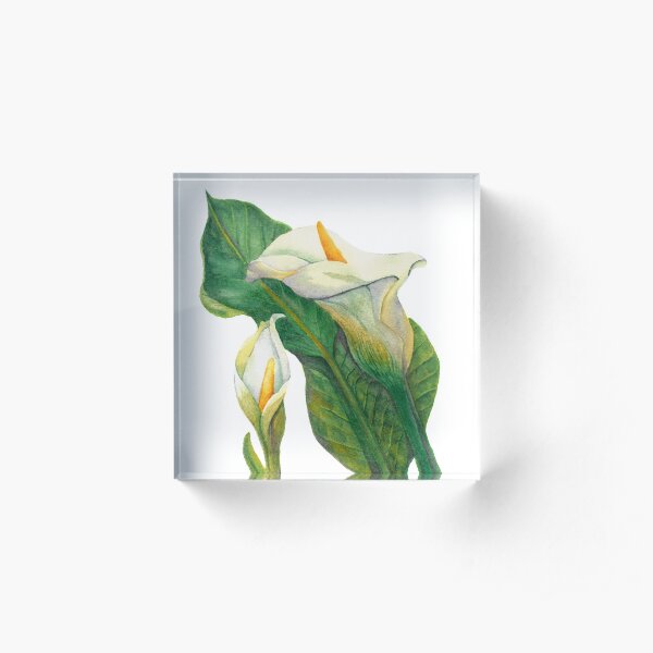 Calla Acrylic Block