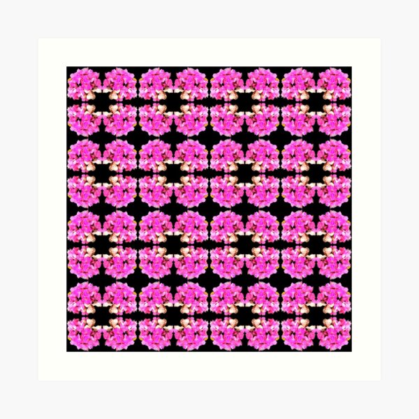 Pink hydrangea Art Print