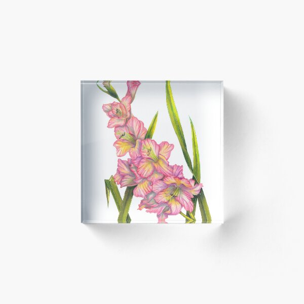Gladiolus Acrylic Block